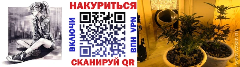 Купить наркоту Вихоревка ГАШ  Амфетамин  СОЛЬ  Мефедрон  Кокаин  Бошки Шишки 