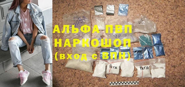 PSILOCYBIN Бородино