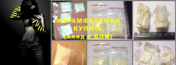 PSILOCYBIN Бородино