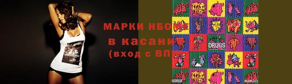 PSILOCYBIN Бородино