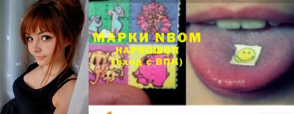PSILOCYBIN Бородино