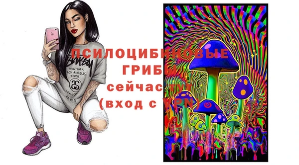 соль курить ск Бронницы