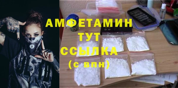 PSILOCYBIN Бородино