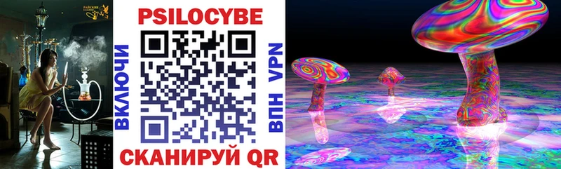Псилоцибиновые грибы Cubensis  Вихоревка 