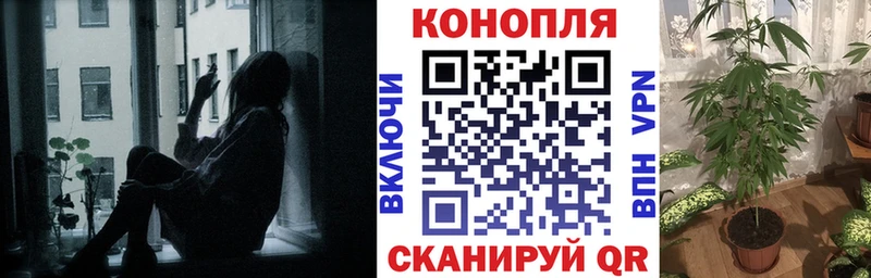 Шишки марихуана Ganja Вихоревка